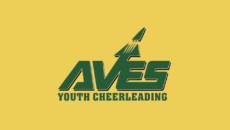 Sycamore Aves Youth Cheer